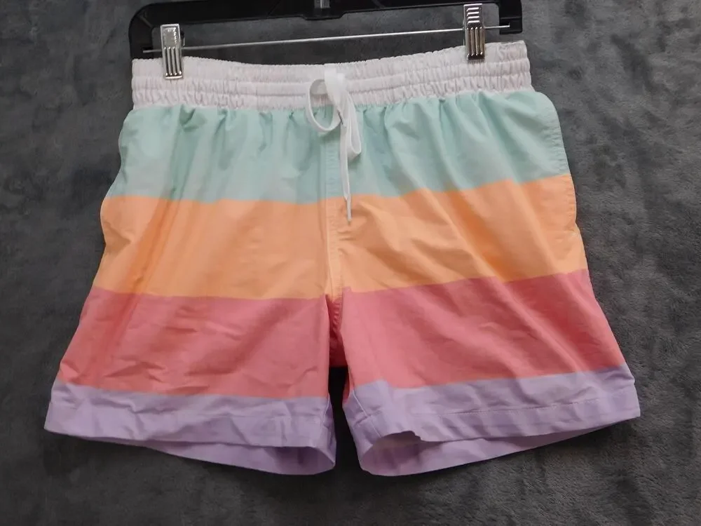 Chubbies Shorts Mens Small Pastel Colorblock Swim Trunks 5.5 Inseam Retro Stripe